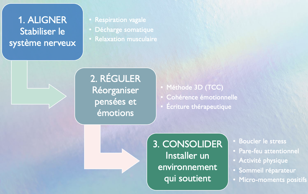 capture d’écran 2025 11 17 à 11.00.03